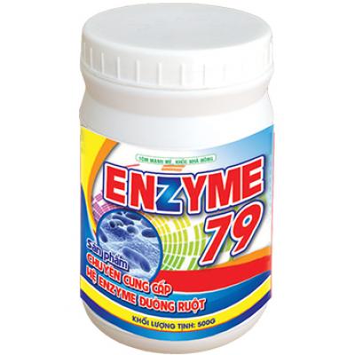 ENZYME 79